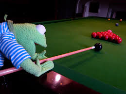 Kermit on Pool